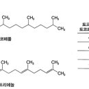 기출반&amp;혜택강의) 수용성 식이섬유 외 이미지