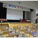 서울버들초등학교 Daum카페