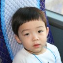 빛초롱어린이집 이미지