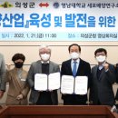배양 이미지