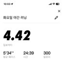 카운터 복싱 이미지