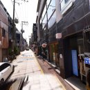춘천 고양이집 | 춘천 가볼만한곳｜메이쿤을 볼 수 있는 춘천 고양이집 고양이 카페 (입장료·주차 총정리)