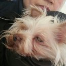 소풍동물병원 이미지