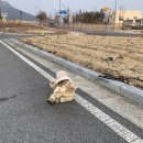 파스타라이크 칠곡점 | 2022. MAR-1