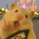 연산시장 이미지