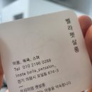 벨라 펫 살롱 이미지