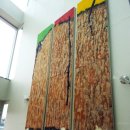 푸른나무어린이집 이미지