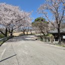 병곡면사무소 이미지