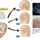 다중지문 이미지