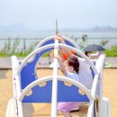 배곧한울공원 이미지