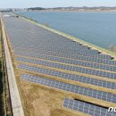 종일1 태양광발전소 이미지