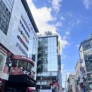 션샤인캣 이미지