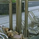 개팔자 상팔자 이미지