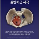 꼬리연구소 | 케겔온 닥터헤움(혜움) 핏연구소, 운동 방법 남자 여자 효과와 후기