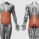 워너짐 하단점 이미지