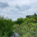 엘림농장 이미지