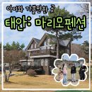 마리모 | [가족여행 후기] 충남태안숙소 : 마리모펜션 - 태안뷰좋은펜션 | 밧개해수욕장펜션