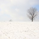 하얀목장 이미지