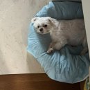 넵머이 | 돌아온 바캉스의 계절🏖️