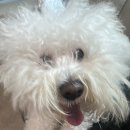 지리산인형놀이터 | 여름온기