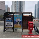 킨텍스튼튼본의원 네이버블로그