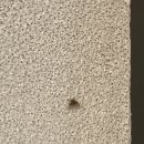 아소다이닝 이미지