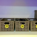 k 스크린골프 이미지