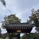 청화공간 | 한옥 감성 가득한 시흥 대형 베이커리 애견동반카페, 청화공간 후기
