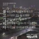 피자의민족 이미지