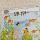 꼬리에 꼬리를 무는 그림책 | 효자손이 없어서야!&#34; 엉뚱한 상상력으로 꼬리에 꼬리를 무는 질문의 세계! 『왜냐면』 안녕달 그림책 리뷰