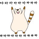 스페이스아크 이미지