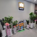 넘버원부동산공인중개사사무소 이미지