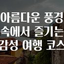 도심속바다풍경