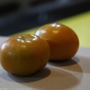 김종문농장 이미지