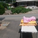 대풍세탁 이미지