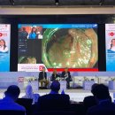 엔도메드 이미지