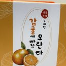 마켓마마스 | 수제강정 선물세트 감귤오란다 마켓마마스