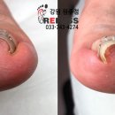 레푸스원주점