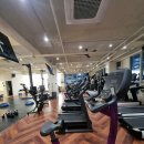 이지휘트니스 이미지