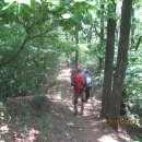 매산목장 이미지