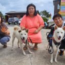 삼달다방 이미지