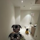 안락고려약국 | 운정표병원 입원 생활 후기 1일차