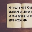 주의 말씀을 내 마음에 두었나이다(시119:11) 이미지