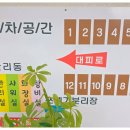 백룡야영장 네이버블로그