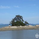 국립천관산자연휴양림 이미지