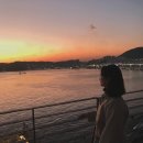 다시 되돌아보는 PNU 특집 2