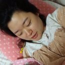 다복파크 이미지