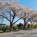 고성리-15 이미지