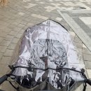 펫테리 | 뚜벅이 보호자의 펫택시 비용을 덜어준 고맙템...버디두기┃ 라이더 테리┃보더콜리 개모차┃생각보다...