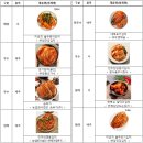 임진강김치 ‘미금치 율무총각김치’, 2024년 김치품평회 대상 선정